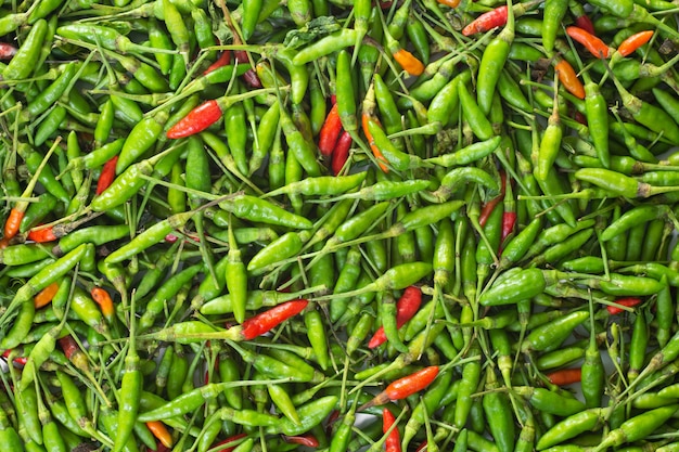 Pimienta de Guinea con primer plano