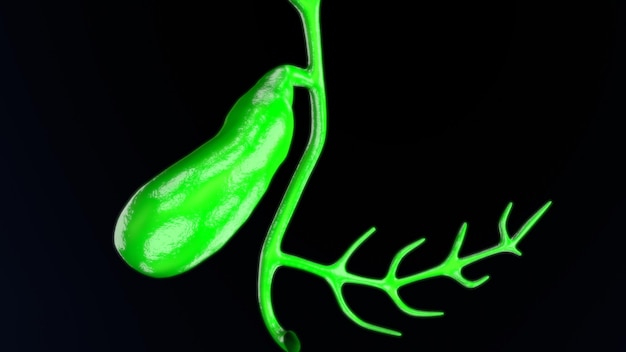 un pimienta verde tiene la forma de un pipienta verde