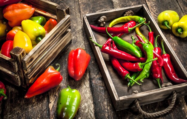 Pimiento dulce y picante En cajas.