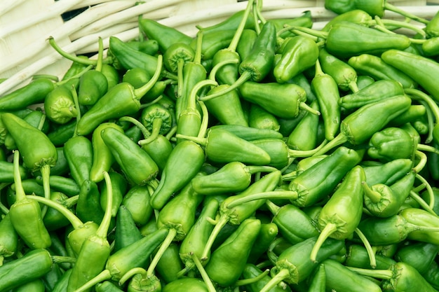 Pimiento padron fresco en la cesta en el mercado de agricultores