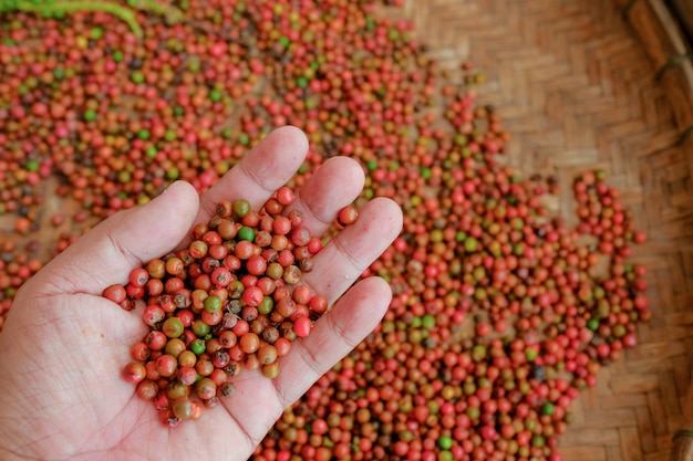 Pimiento rojo en una mano