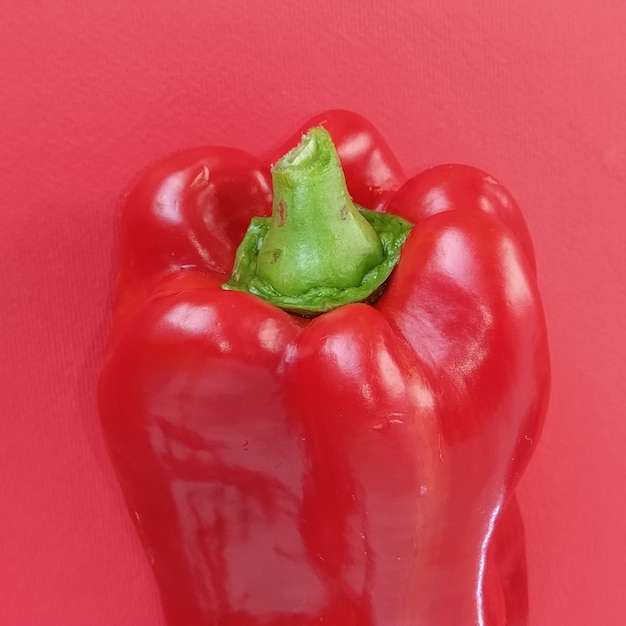Foto pimiento rojo pimentón sobre fondo rojo una verdura de pie en posición vertical