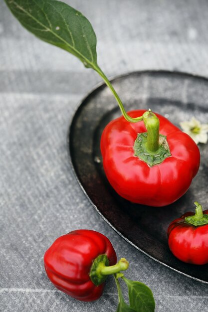 Pimiento rojo en un plato gris