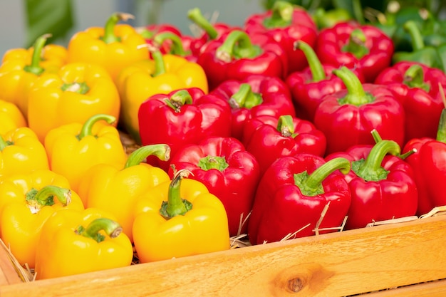 Pimientos amarillos y rojos en caja de madera.