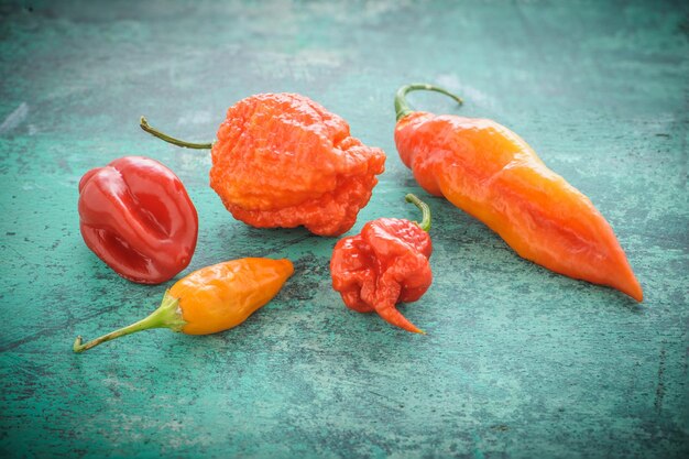 Pimientos chiles sobre un fondo de color cian