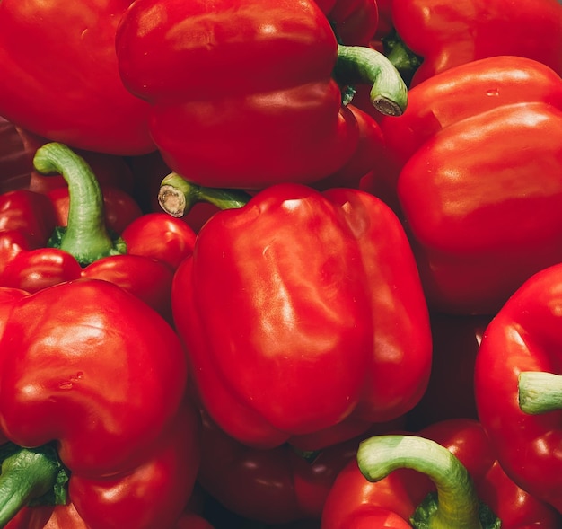 Pimientos como fondo de alimentos orgánicos saludables vegetales frescos en el mercado de agricultores dieta y agricultura