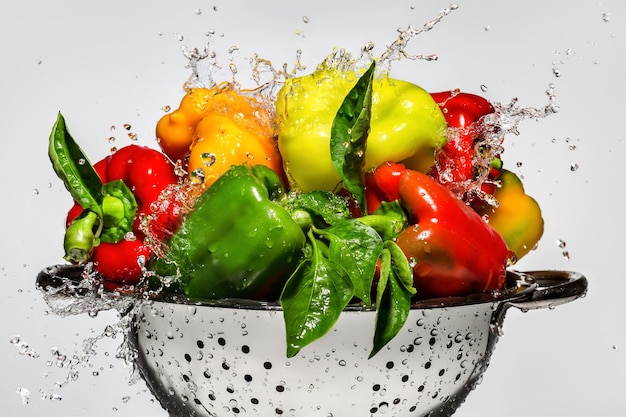 Pimientos frescos y coloridos en un colador plateado Salpicados al lavar gotas de agua