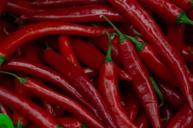 Foto pimientos picantes coloridos de primer plano, verduras orgánicas frescas