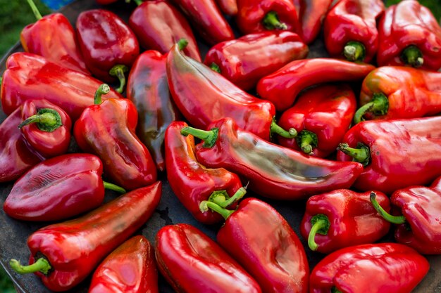 Foto pimientos rojos asados preparados para una comida sabrosa