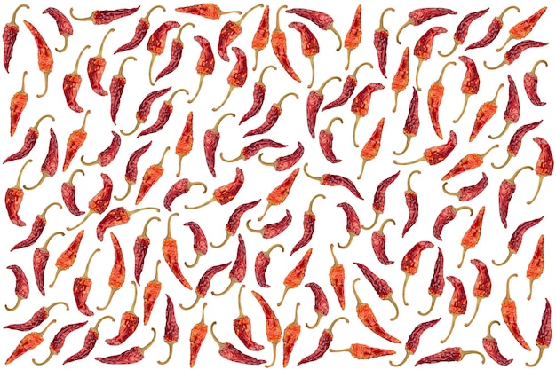 Pimientos rojos secos calientes dispuestos al azar aislados sobre fondo blanco