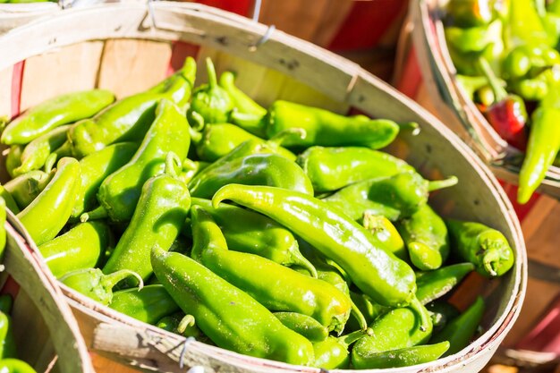 Pimientos verdes en cestas en el mercado de agricultores local.