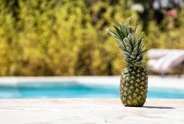 Piña en el borde de una piscina.