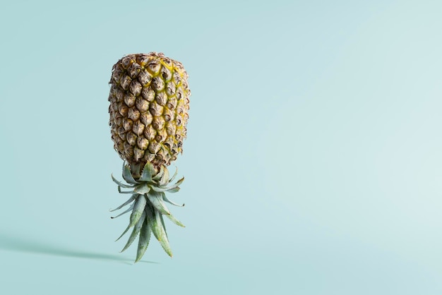 Piña invertida sobre un fondo verde con una copia del espacio