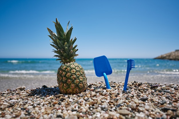 Piña y un juguete de playa a la orilla del mar