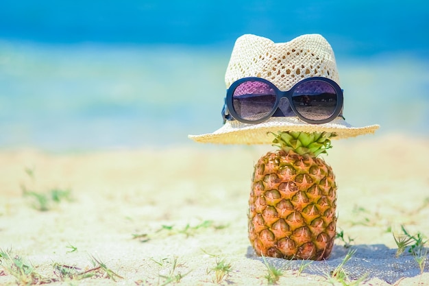 Una piña en la naturaleza cerca del mar en el fondo de la naturaleza de la costa