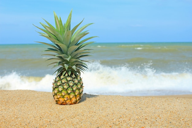 Piña en la playa con cielo azul