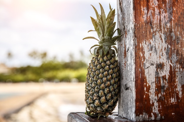 Piña en una playa.