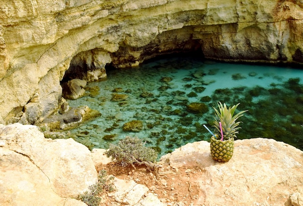 Una piña se sienta en un acantilado en una cueva.