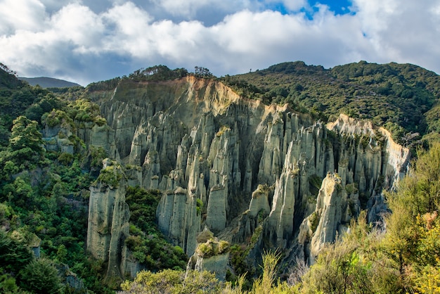 Los pináculos de Putangirua son una formación geológica y uno de los mejores ejemplos de erosión de tierras baldías de Nueva Zelanda.