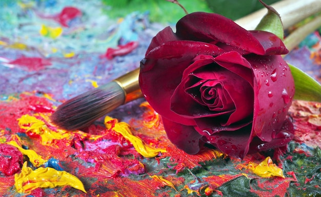 un pincel de pintura con una rosa roja a su lado