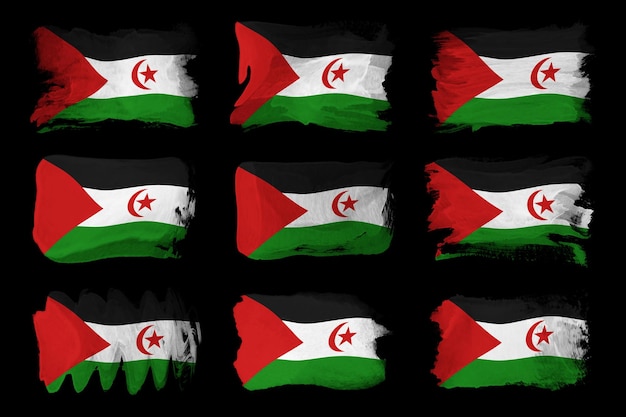 Pincelada de bandeira da República Árabe Saaraui Democrática, bandeira nacional em fundo preto