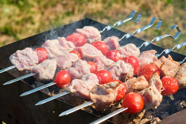 Pincho de la parrilla con carne y verduras en la naturaleza. Brochetas a la parrilla