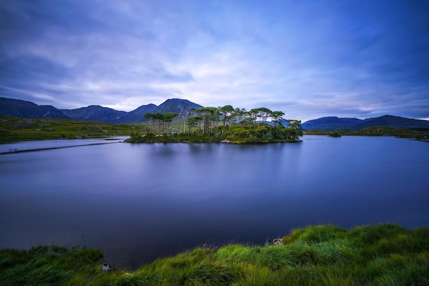 Pine Trees Island im Derryclare Lake bei Sonnenuntergang