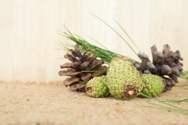 pinecone fresco para hacer el té fresco del pinecone.