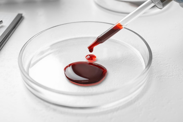 Foto pingando sangue da pipeta para a placa de petri na mesa fechada análise laboratorial
