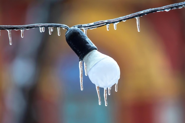 Pingentes de gelo em lâmpadas de iluminação de rua congeladas tempo de inverno temporada detalhes do interior da rua objeto de eletricidade