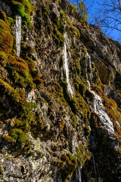 Pingentes do sul dos Urais com uma vegetação paisagística única e diversidade da natureza