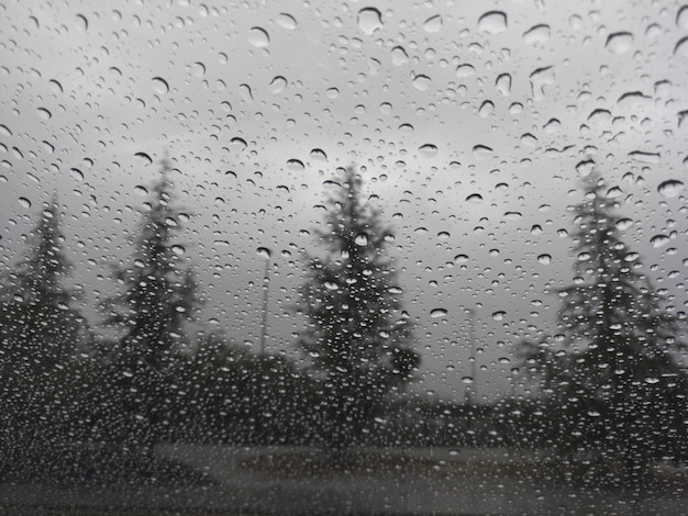 Pingos de chuva no vidro com árvores no fundo