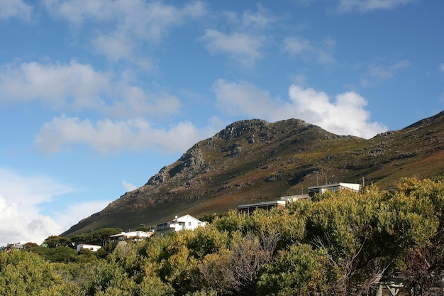 pingüinos ciudad del cabo sudáfrica