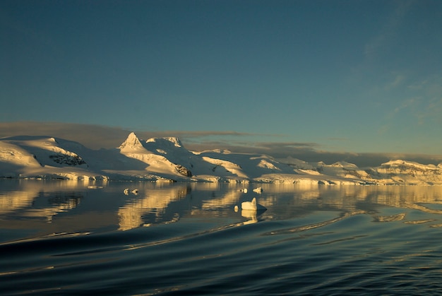 Pinguins imperador em Snow Hill, Antártica 2010.