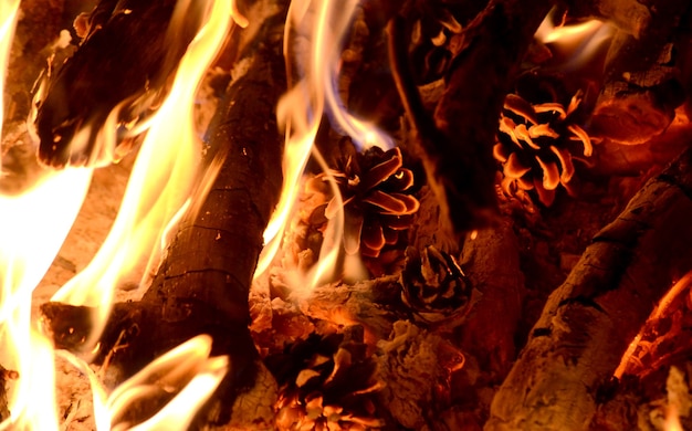 Pinha marrom queimando no fogo com chamas