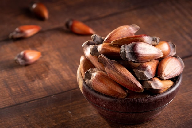 Pinhão Semente de araucária Comida típica de inverno do sul do Brasil