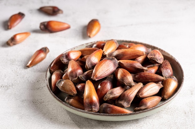 Pinhão Semente de araucária Comida típica de inverno do sul do Brasil