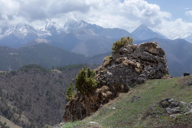 Pinheiro em grande pedregulho na encosta da colina contra a montanha coberta de neve em neblina azul Ingushetia Rússia