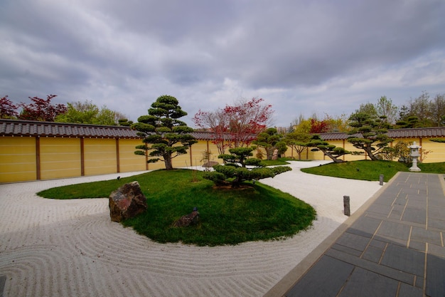 Foto pinheiros bonsai pinus mugo ou pinheiro de montanha em jardim japonês paisagístico seco no público