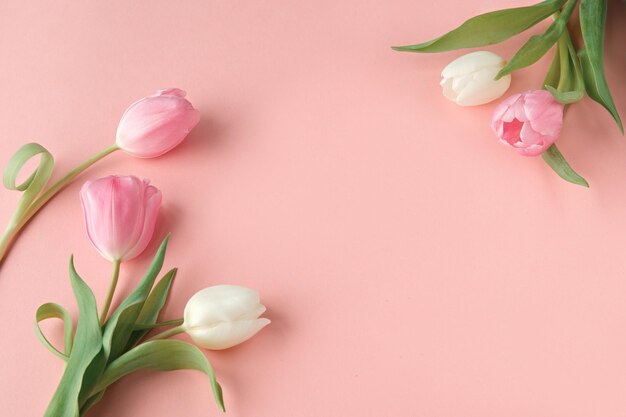 Pink and white tulips arranged on a pastel pink background with green leaves creating a delicate floral composition with copyspace