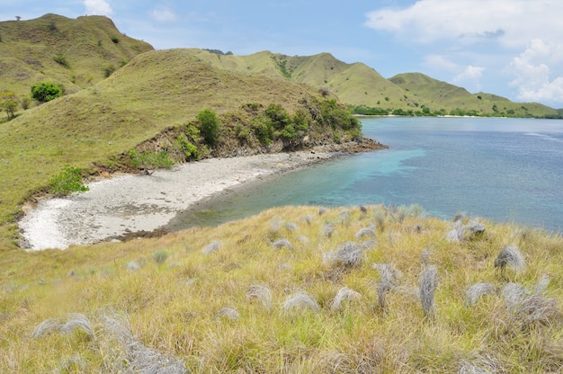 Pink Beach, einer der tropischen Strände in Flores Island, Indonesien, umgeben von Hügeln.