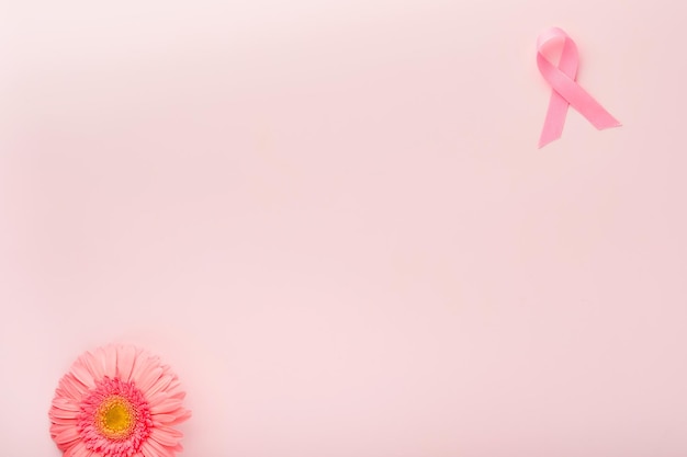 Pink Breast Cancer Awareness Ribbon Gerbera und rosa Schleife auf Hintergründen Brustkrebsbewusstsein und Oktober Rosa Tag Weltkrebstag Draufsicht Mock up
