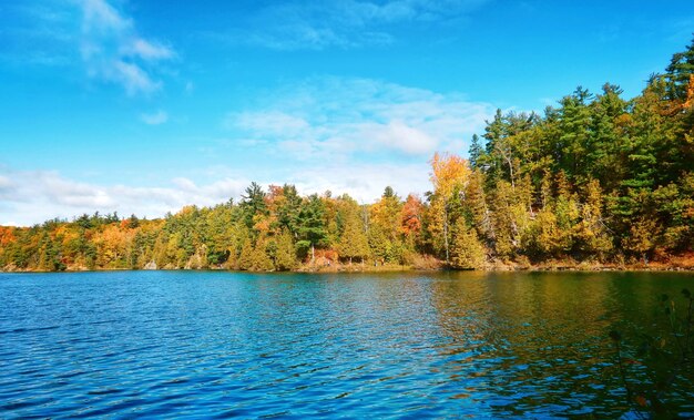 Pink Lake Gatineau Quebec Kanada während der Herbstsaison mit farbenfrohen Bäumen