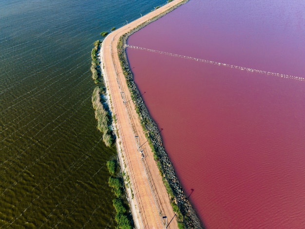 Pink lake sasik sivash dividido por una carretera en verano