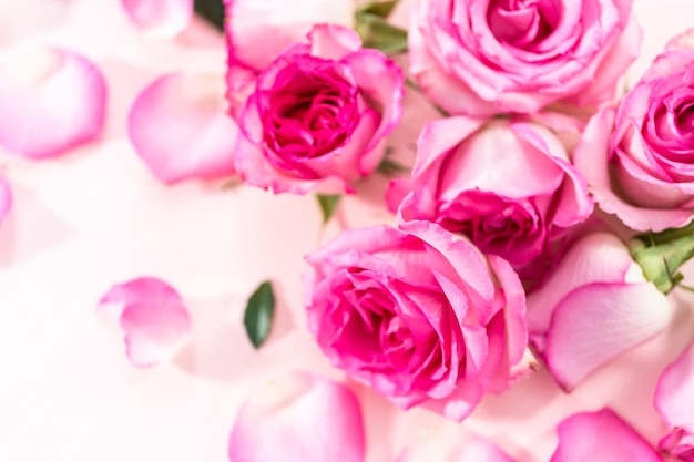 Pink Roses