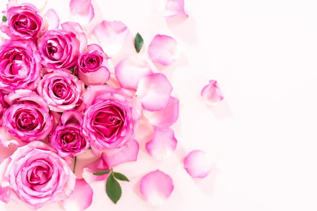 Pink Roses