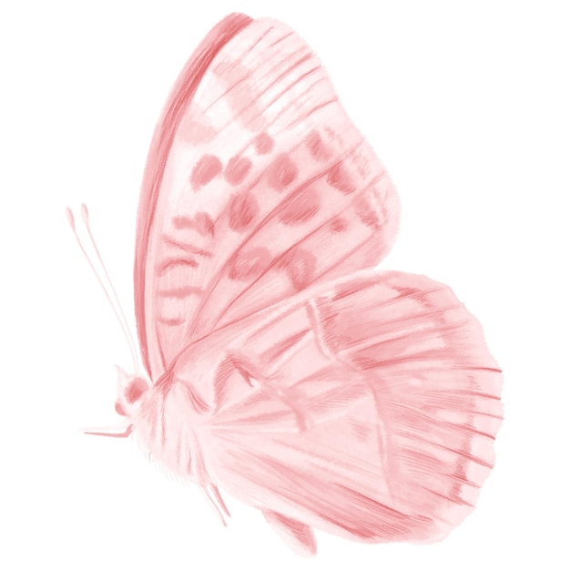 Pinker Schmetterling png-Aufkleber ästhetische Illustration auf durchsichtigem Hintergrund