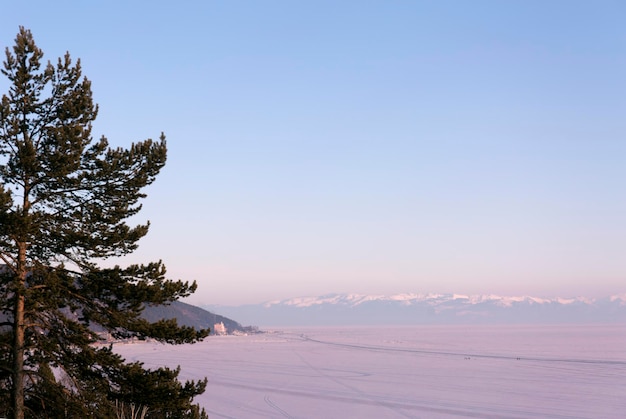 Pino en el lago congelado y fondo de montañas cubiertas de nieve