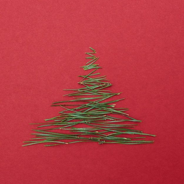 Pinos de agujas en forma de árbol