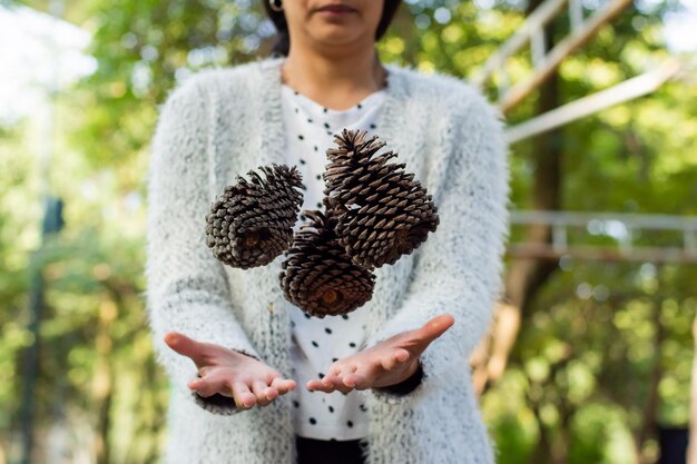 Pinos de cono en manos de mujer